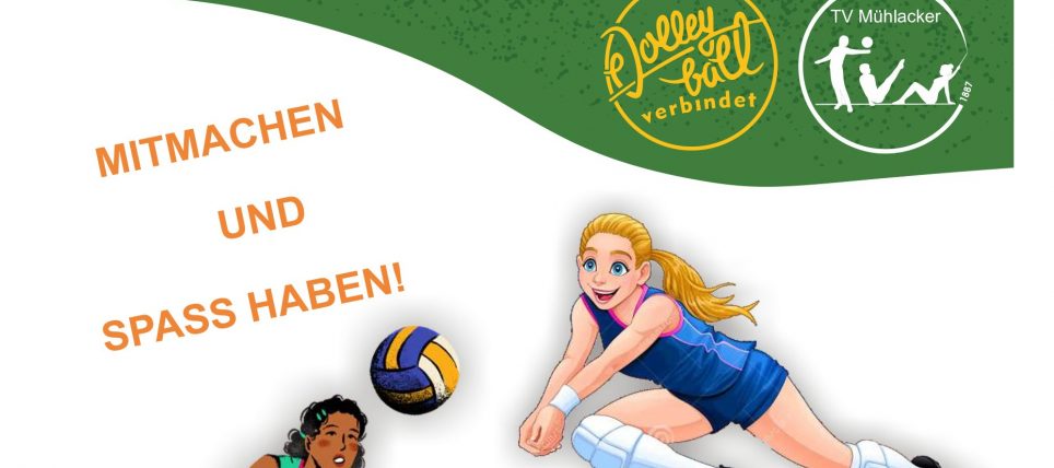 Volleyball Kooperation Schule/Verein    3 Altersklassen (U12, U14 sowie U18)